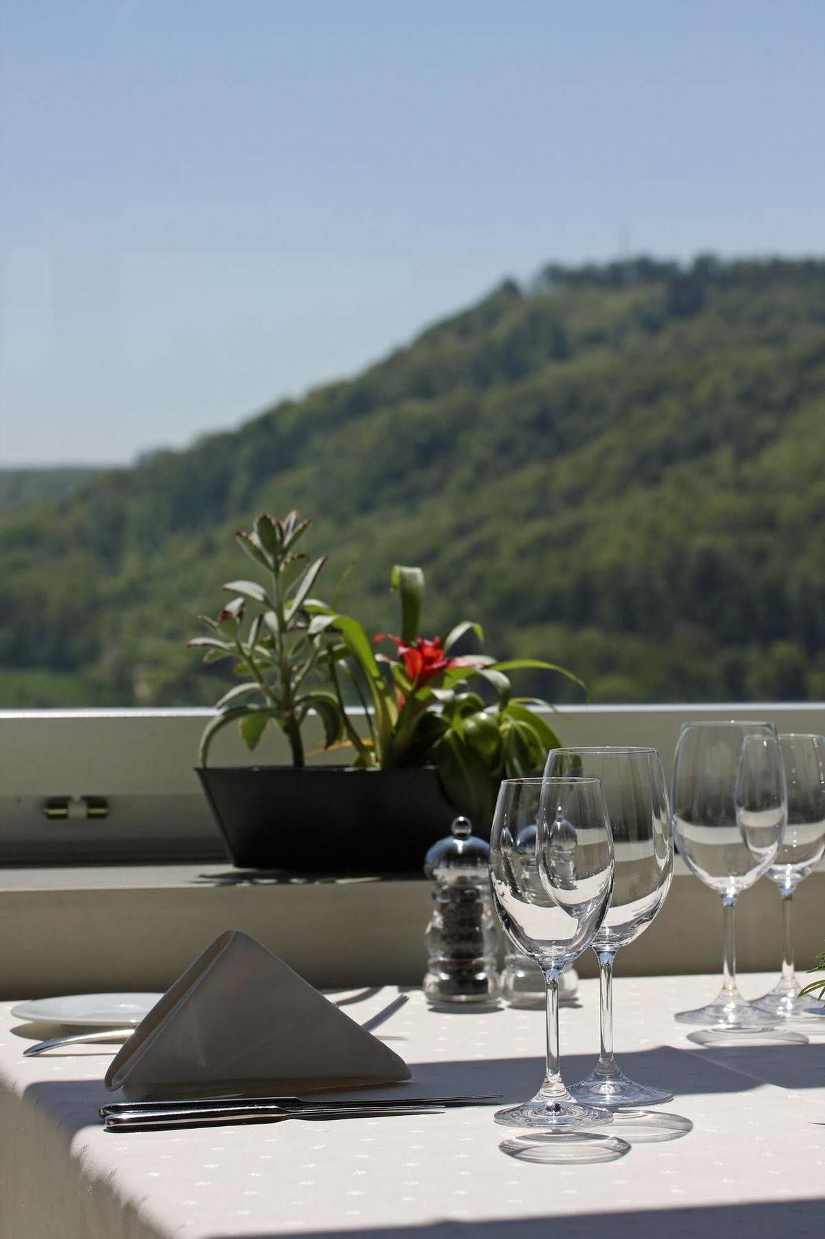 Wellness Hotel Tenedo - Thermalquellen Resort Bad Bad Zurzach Buitenkant foto